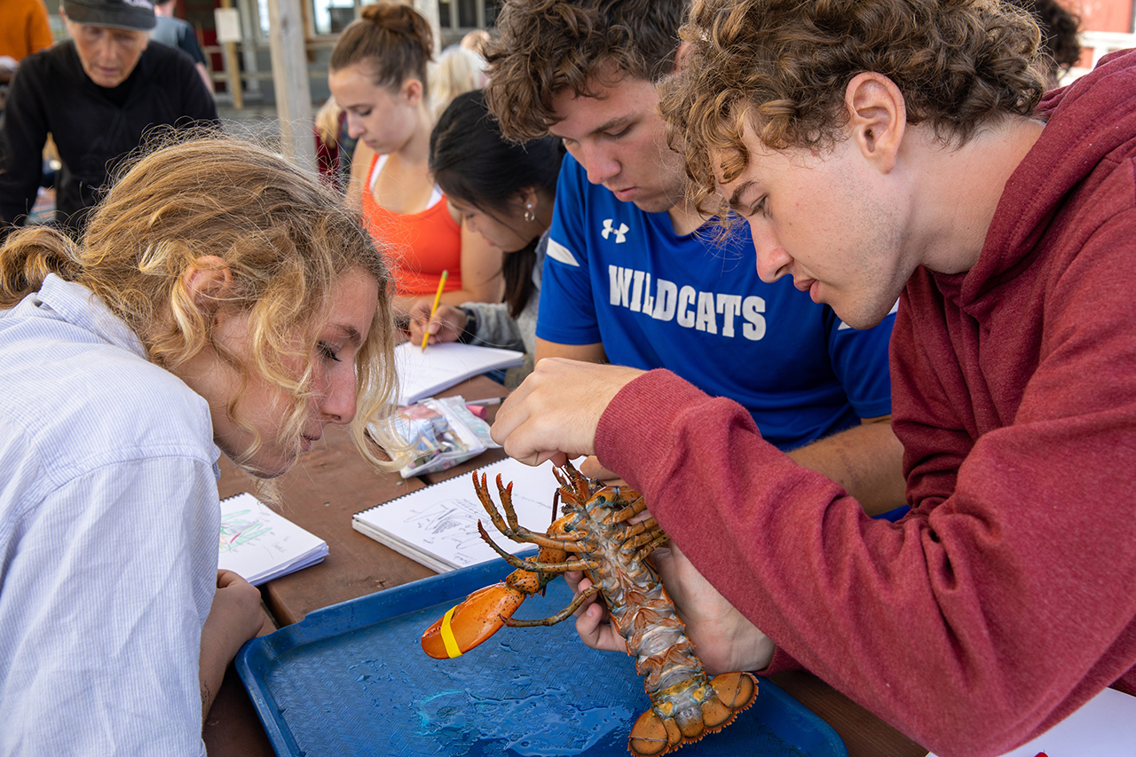 Three high school students examine lobster during Hermit Island trip