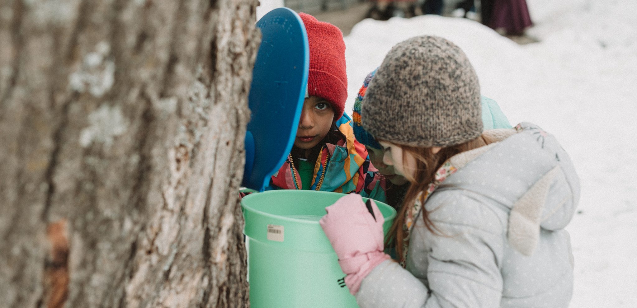 Three girls dressed in winter gear peer into a bucket that is collecting sap; one of the children is peering into the camera