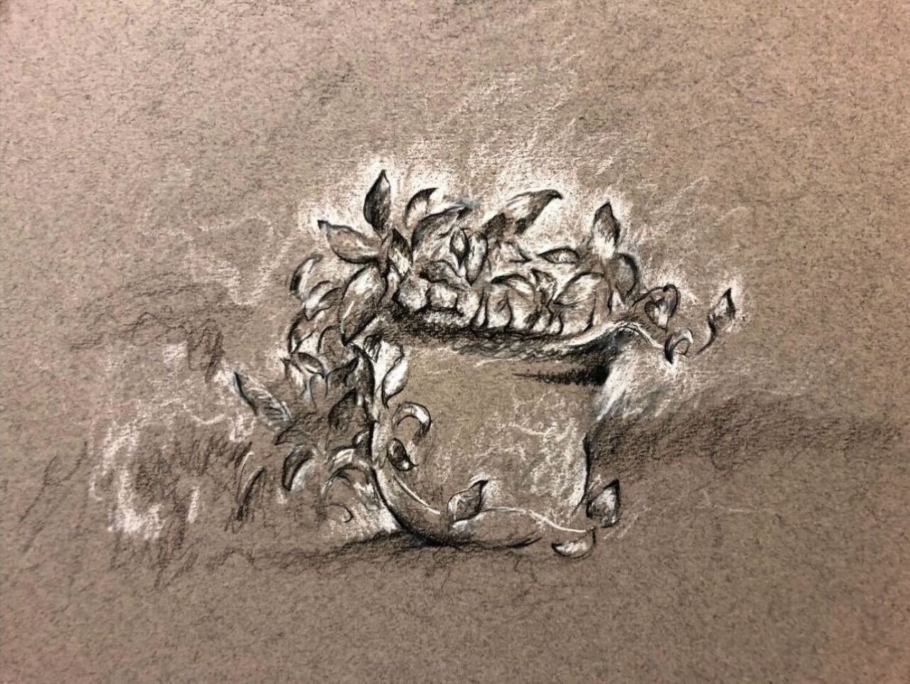 Single black and white still life drawing of a plant in a pot with leaves and small vines flowing out.